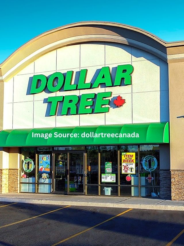 https://stories.coursementor.com/wp-content/uploads/2023/10/5-Dollar-Tree-Brand-New-Items-Are-Worth-Buying-Now.jpg