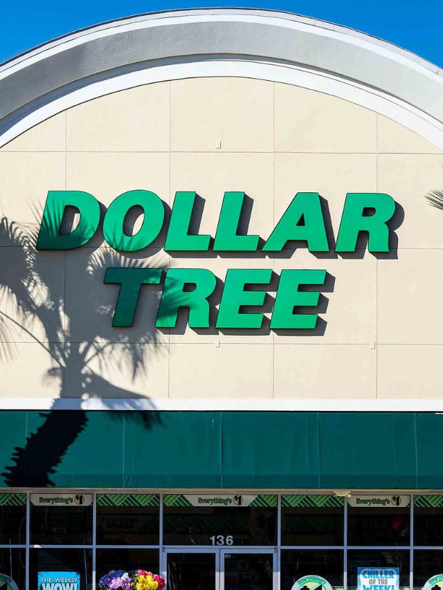 6 Winter Items From Dollar Tree That You Can Use All Year Long