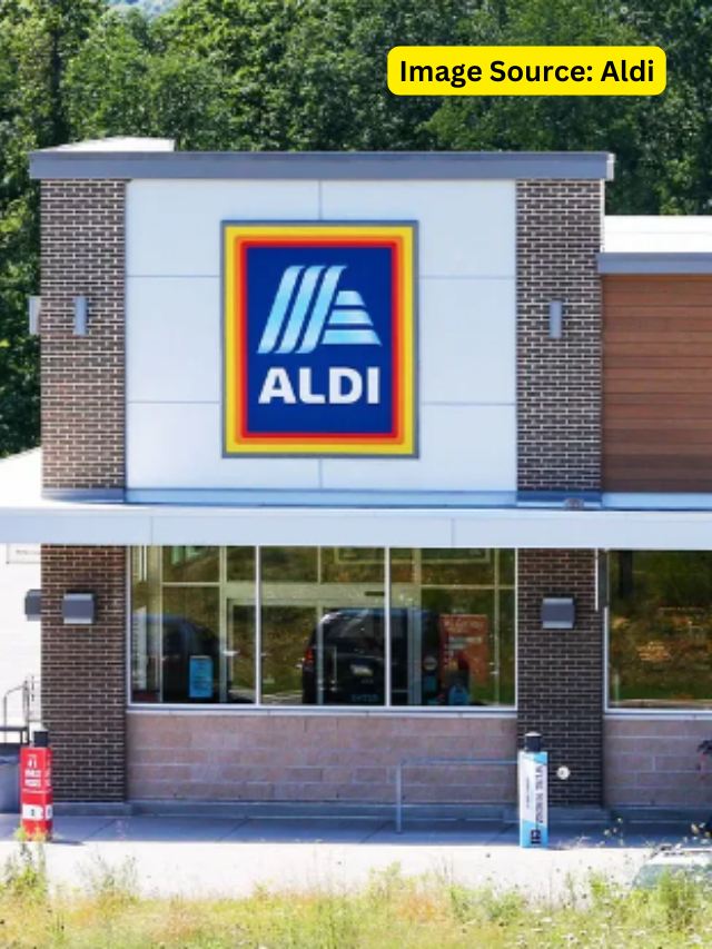 10 Best Aldi Grocery Store Winter Collections